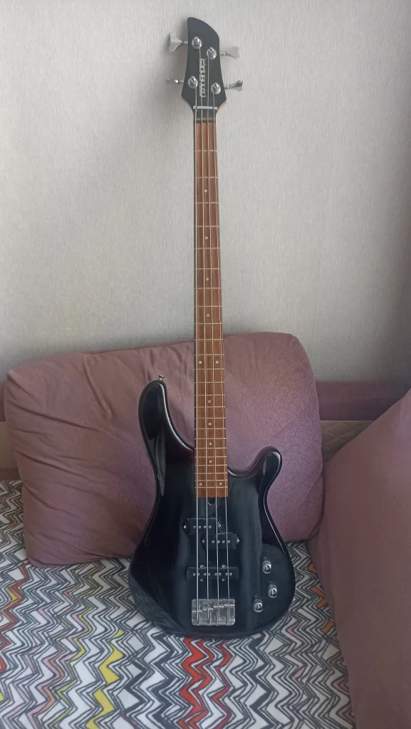 My personal experience with Fernandes basses - short review of FRB-40