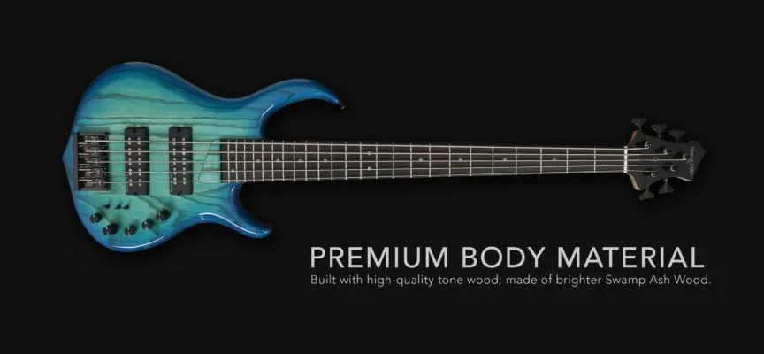 affordable basses for the beginners from sire revolution