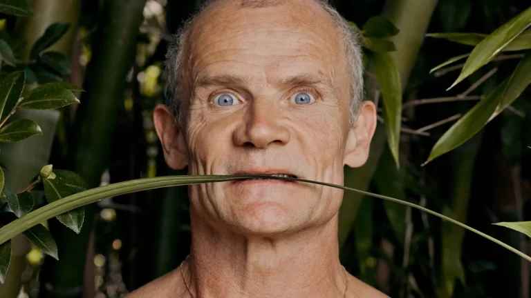 flea red hot chilli peppers bassist