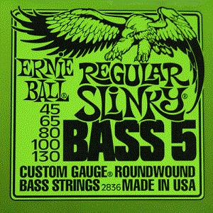 ernie ball regular slinky