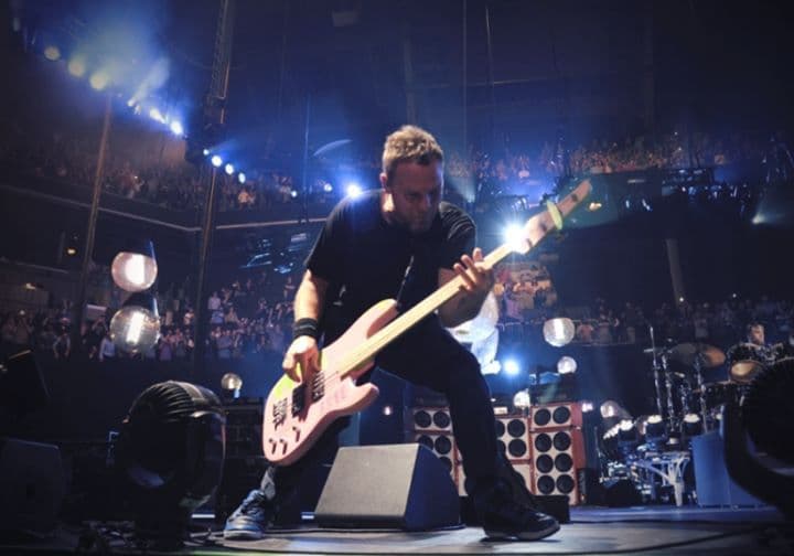 Pearl jam bassist on stage
